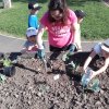Eveil à la Foi, plantation